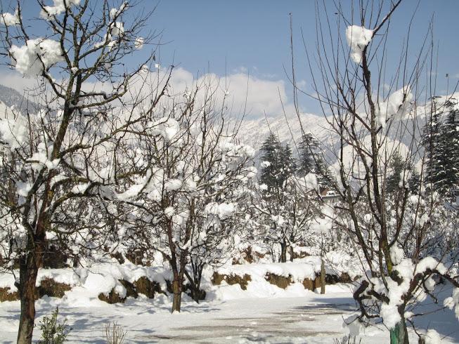 Treebo Trend Celebriti Manali Hotel Vashist Екстериор снимка
