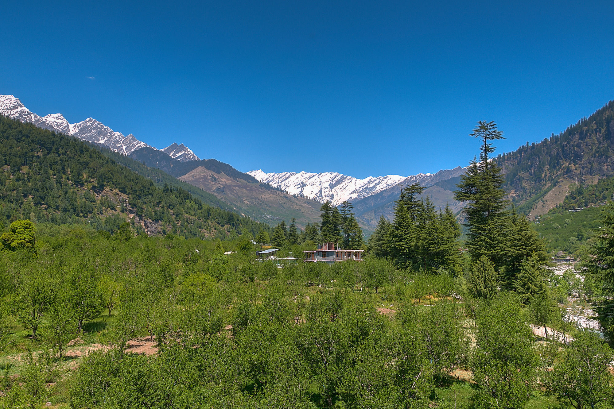 Treebo Trend Celebriti Manali Hotel Vashist Екстериор снимка